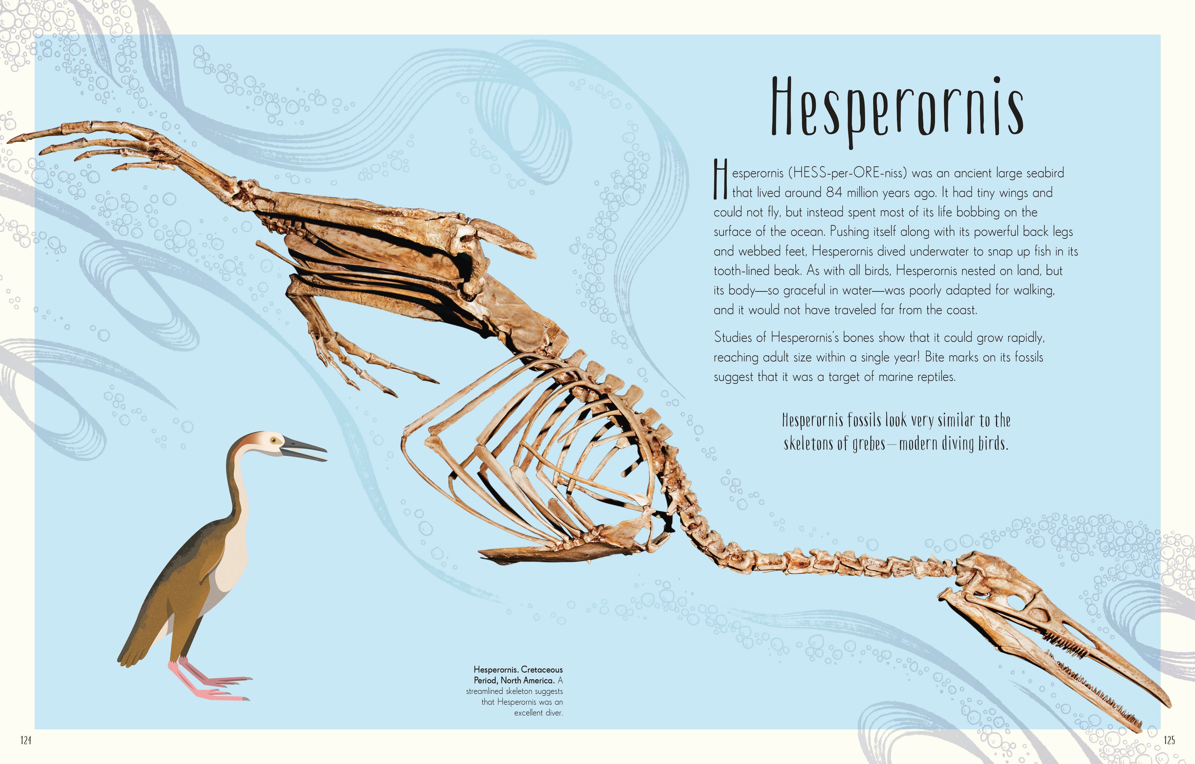 Children's Anthologies Collection-image