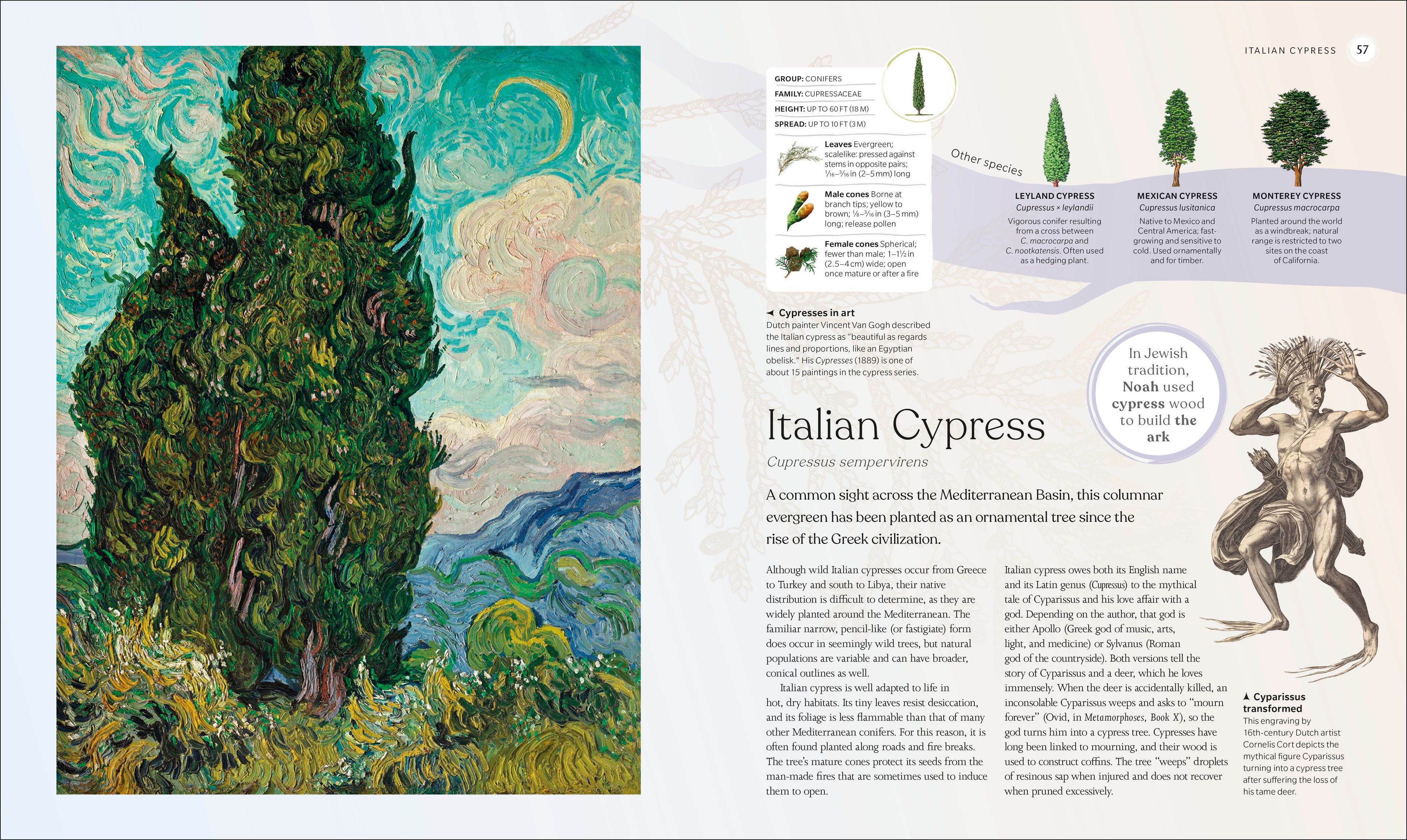 The Tree Book-Spread, Image, (PRHC, Design, Do, Not, Use)-1