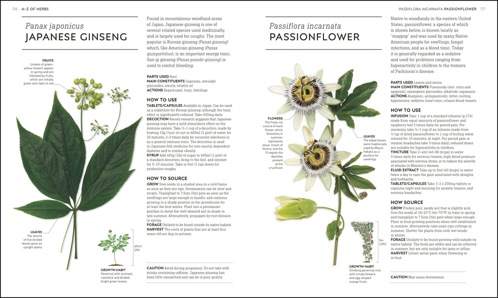 Neal's Yard Remedies Healing Herbs