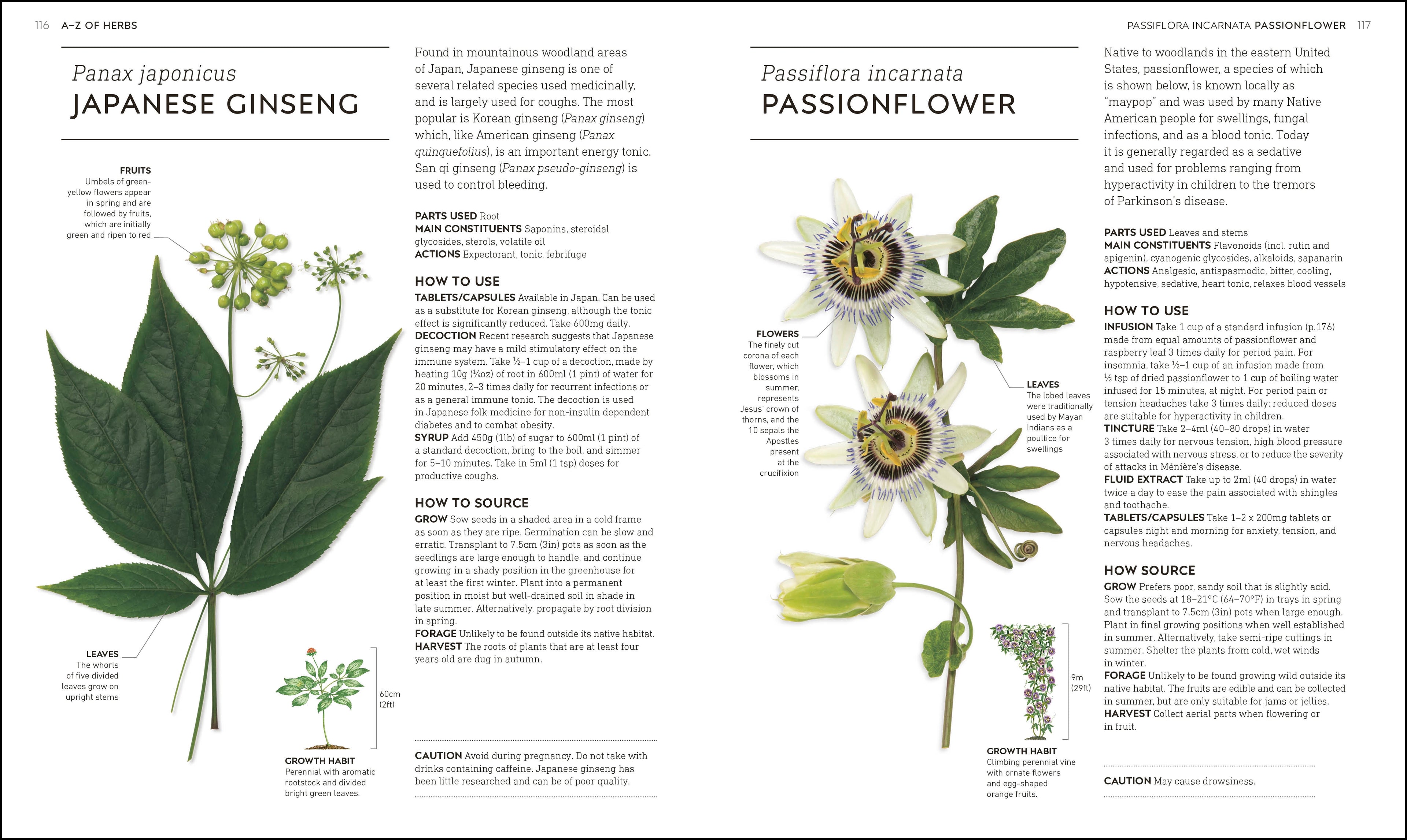 Neal's Yard Remedies Healing Herbs