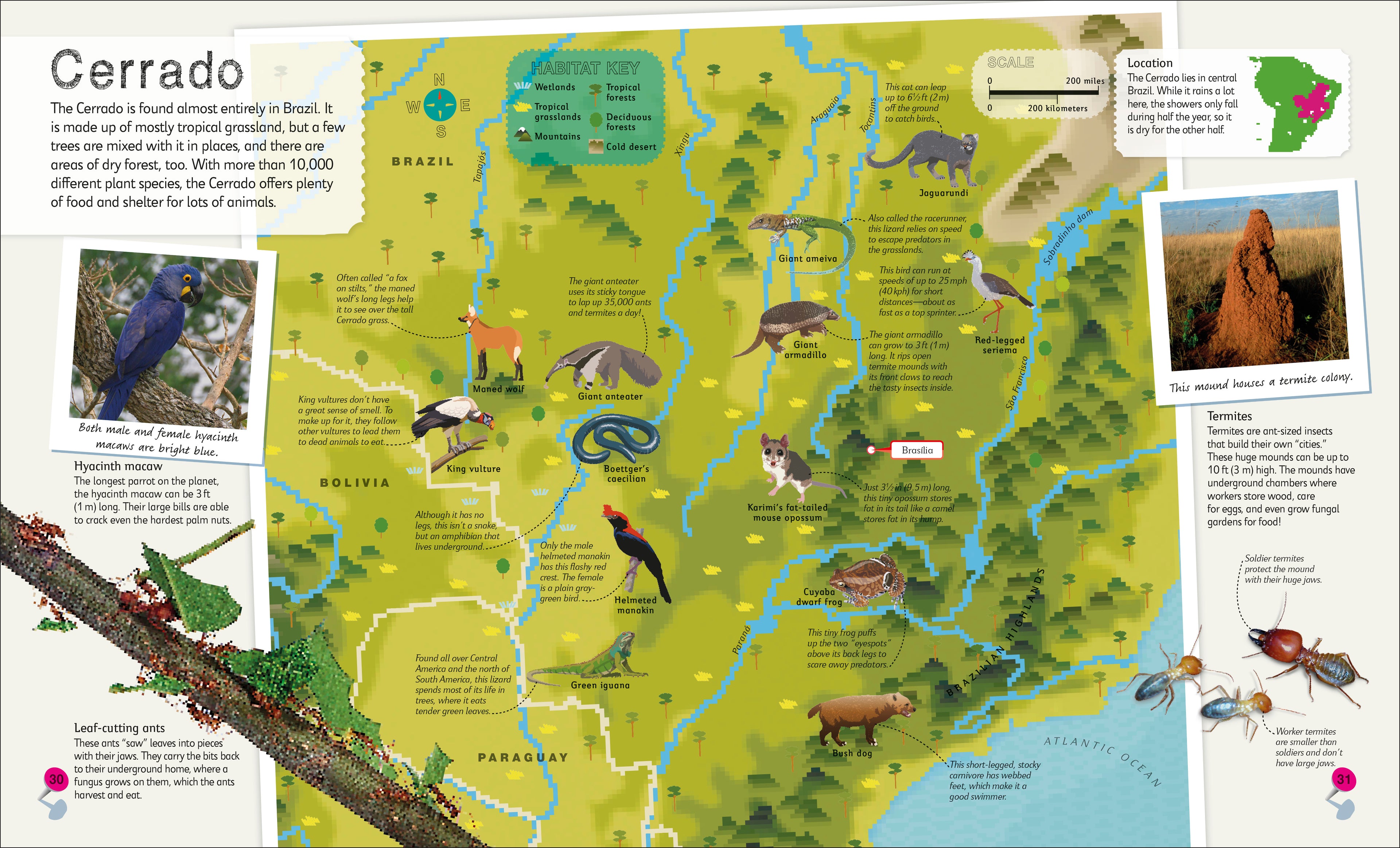 Children's Illustrated Atlas Collection-Spread, Image, (PRHC, Design, Do, Not, Use)-4