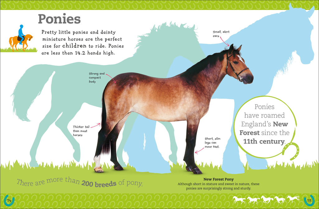 The Everything Book of Horses and Ponies