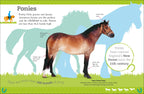 The Everything Book of Horses and Ponies