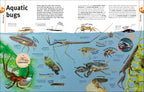 Our World in Pictures Bugs, Butterflies, Beetles and Bees