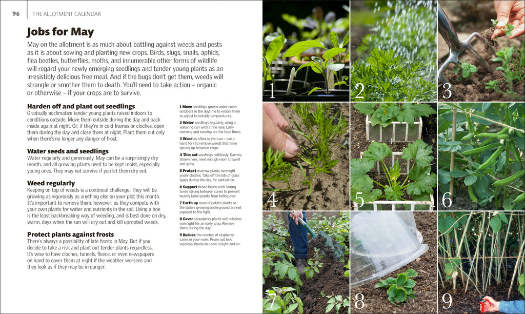 Allotment Month By Month