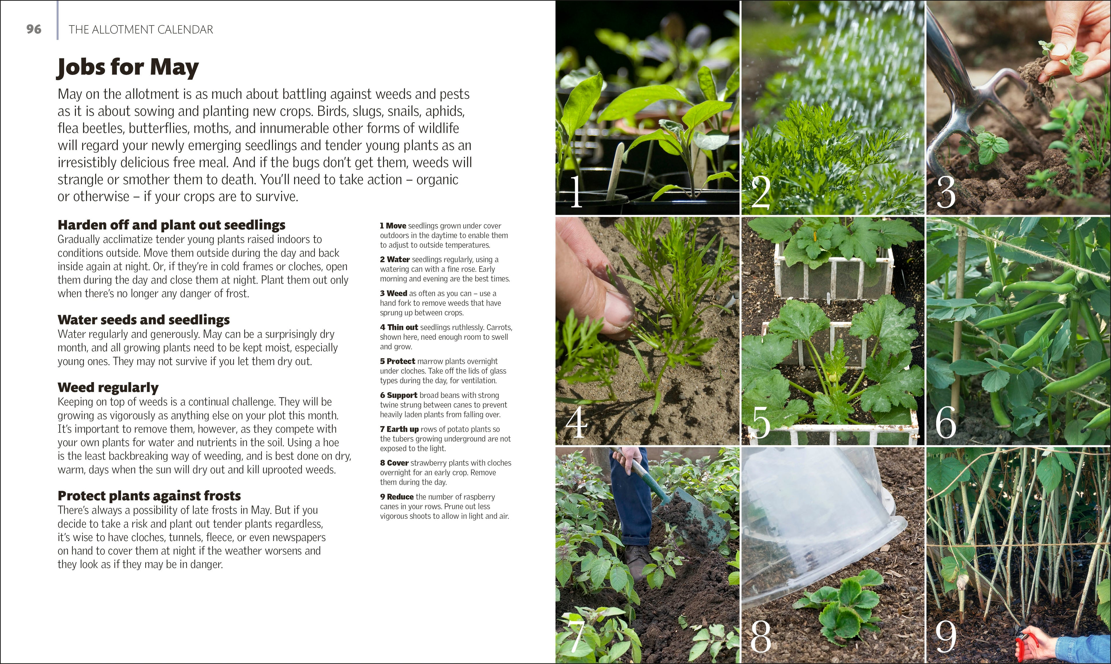 Allotment Month By Month