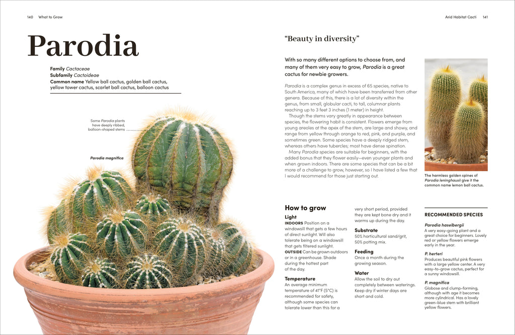 Cacti and Succulents-Spread, Image, (PRHC, Design, Do, Not, Use)-5