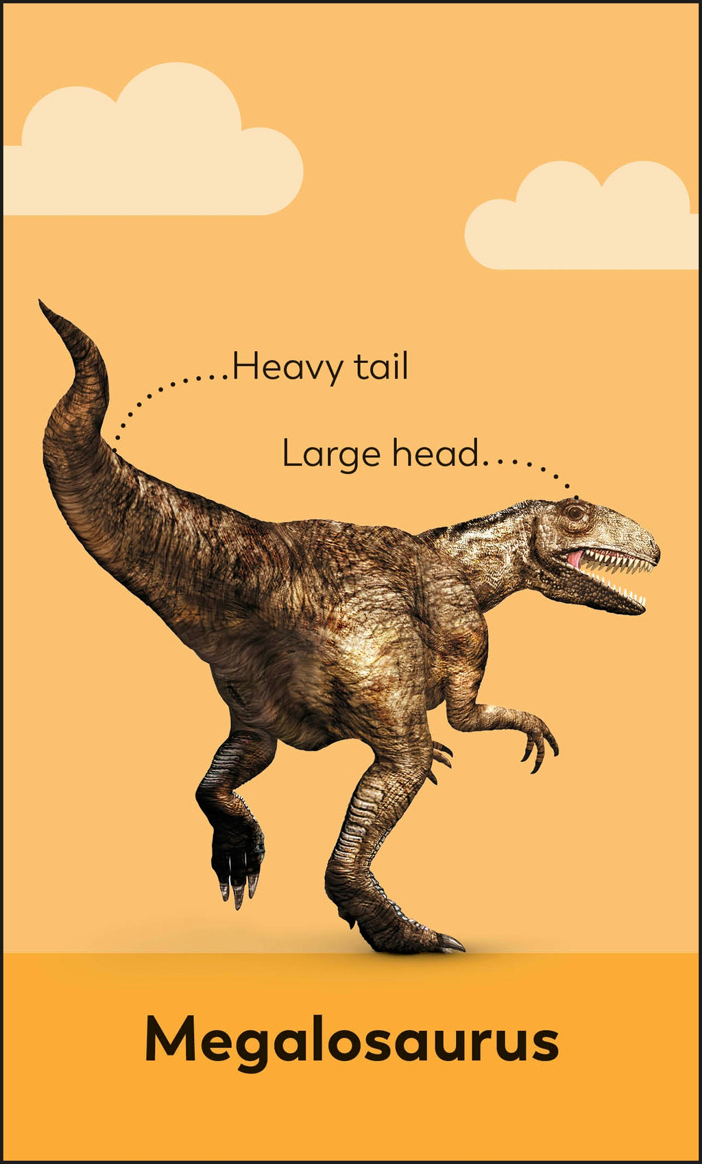 My First Dinosaur Flash Cards