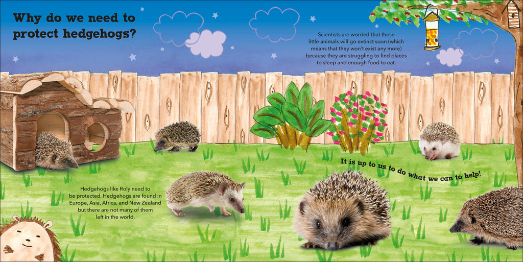 Roly the Hedgehog-Spread, Image, (PRHC, Design, Do, Not, Use)-3