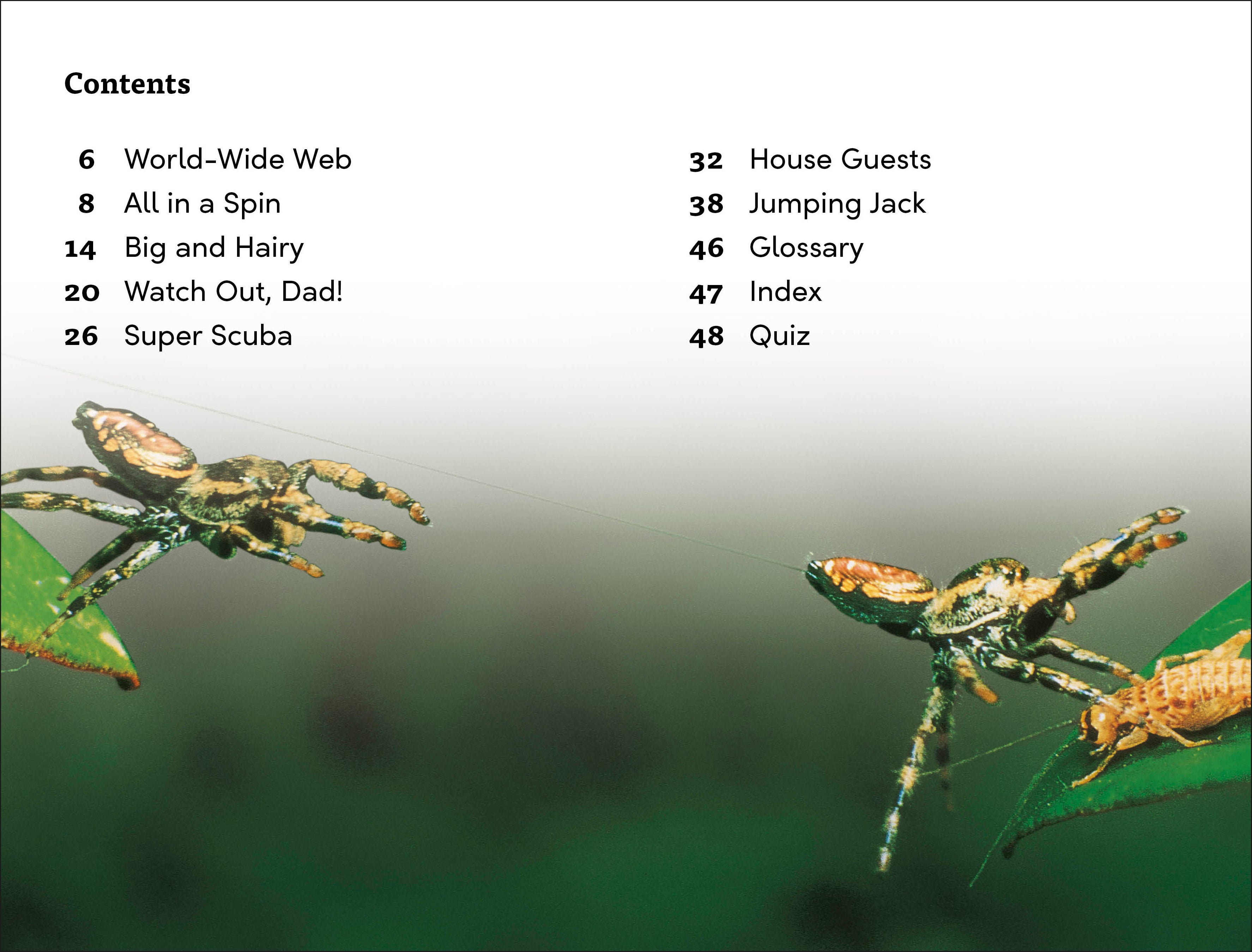 DK Super Readers Level 3 Spiders' Secrets