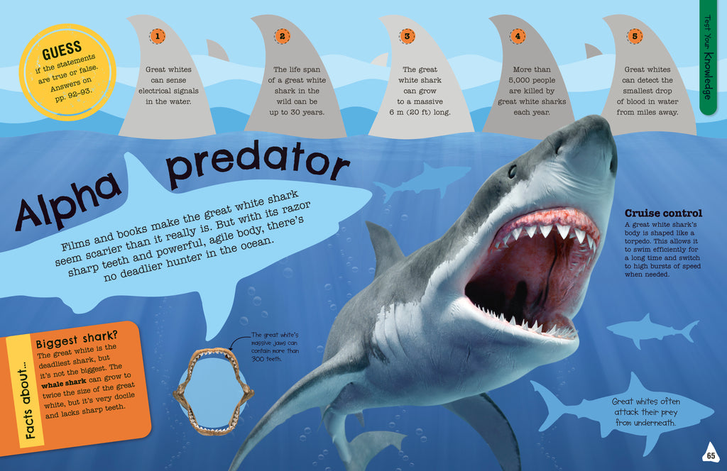 The Fact-Packed Activity Book: Sharks and Other Sea Creatures-Spread, Image, (PRHC, Design, Do, Not, Use)-2