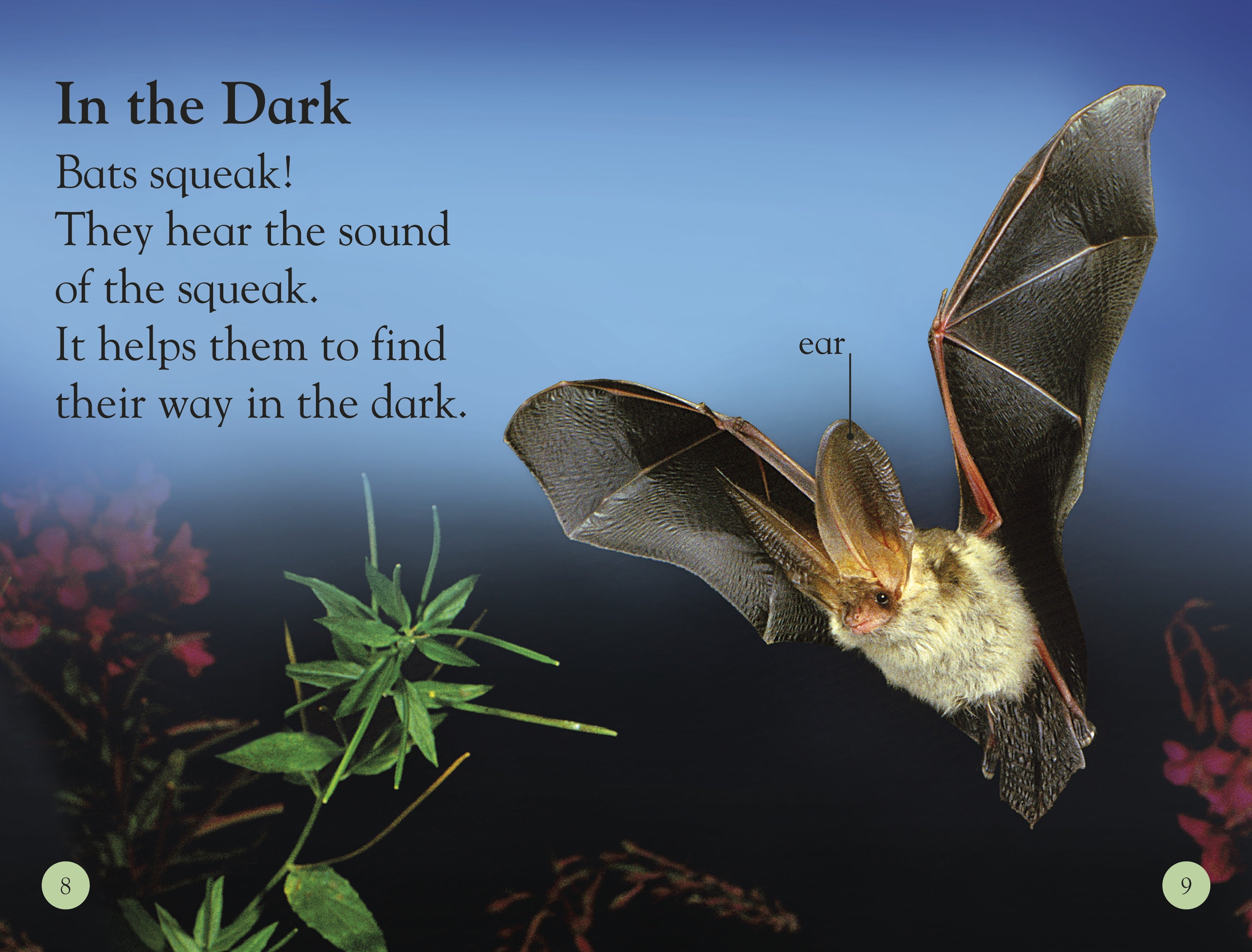 DK Readers L1: All About Bats