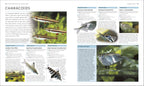Encyclopedia of Aquarium and Pond Fish