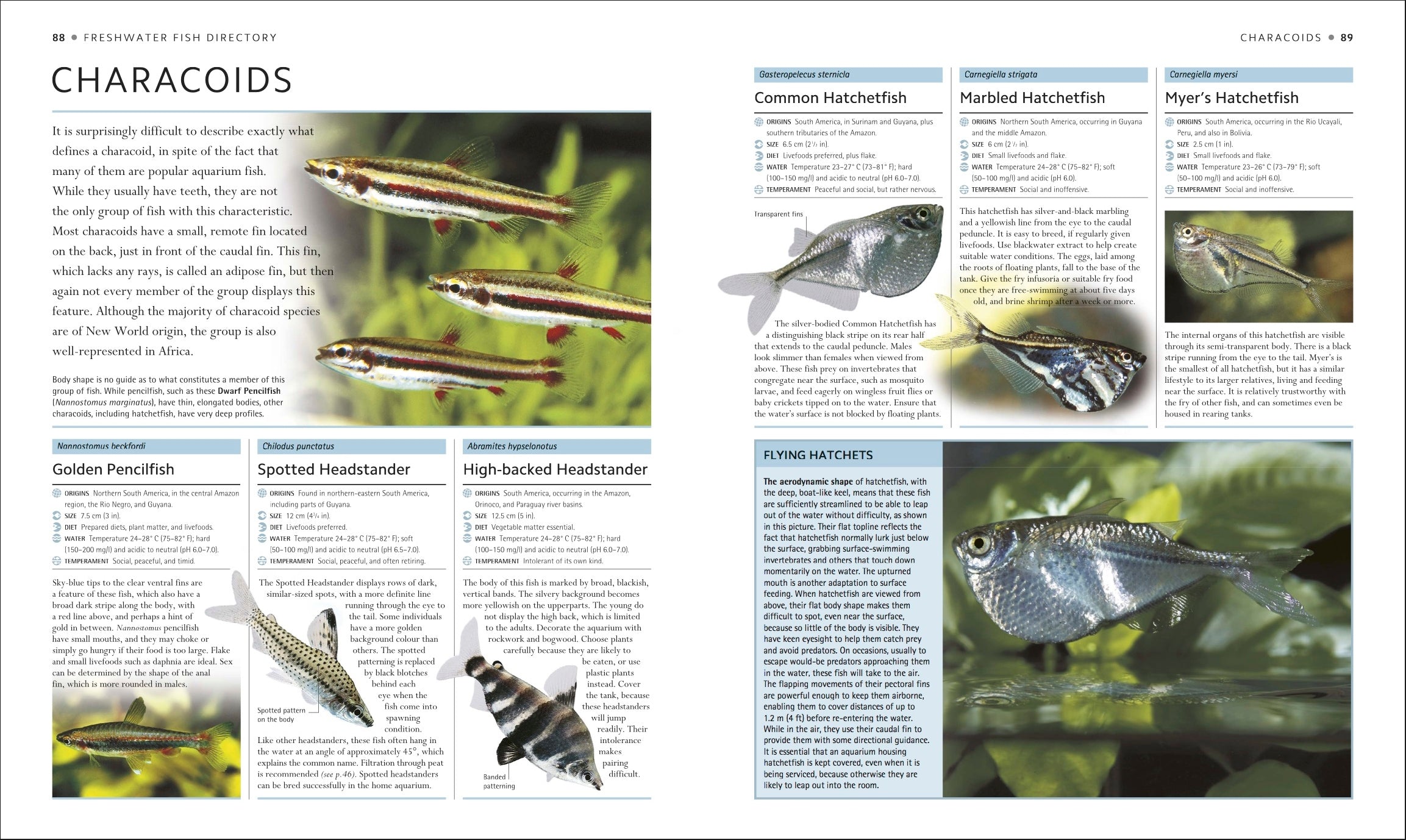 Encyclopedia of Aquarium and Pond Fish