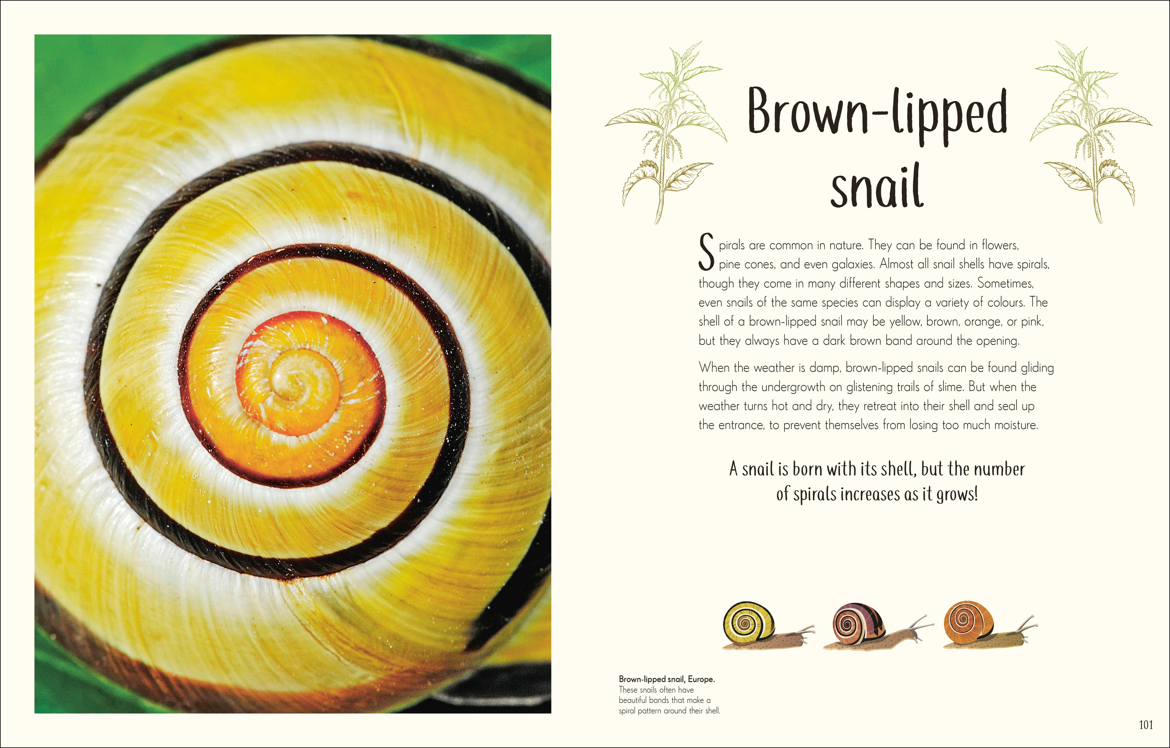 An Anthology of Remarkable Bugs