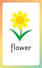 English for Everyone Junior English Alphabet Flash Cards-spread image