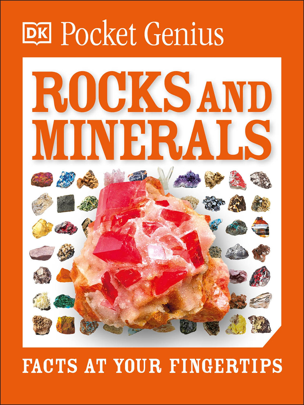 Pocket Genius: Rocks and Minerals jacket