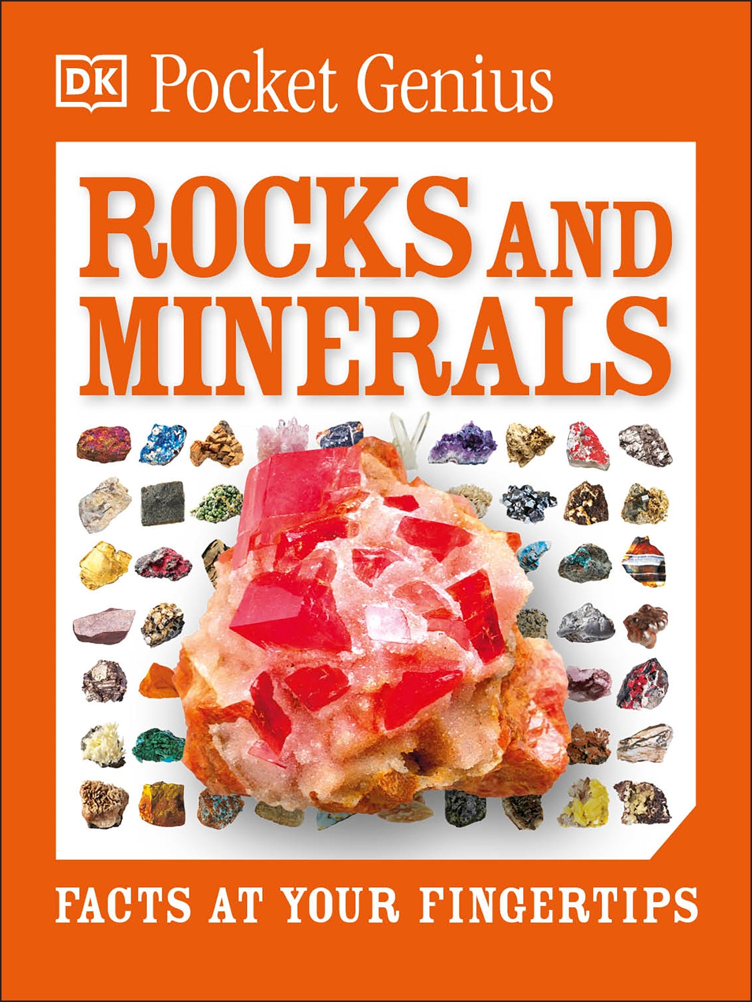 Pocket Genius: Rocks and Minerals jacket