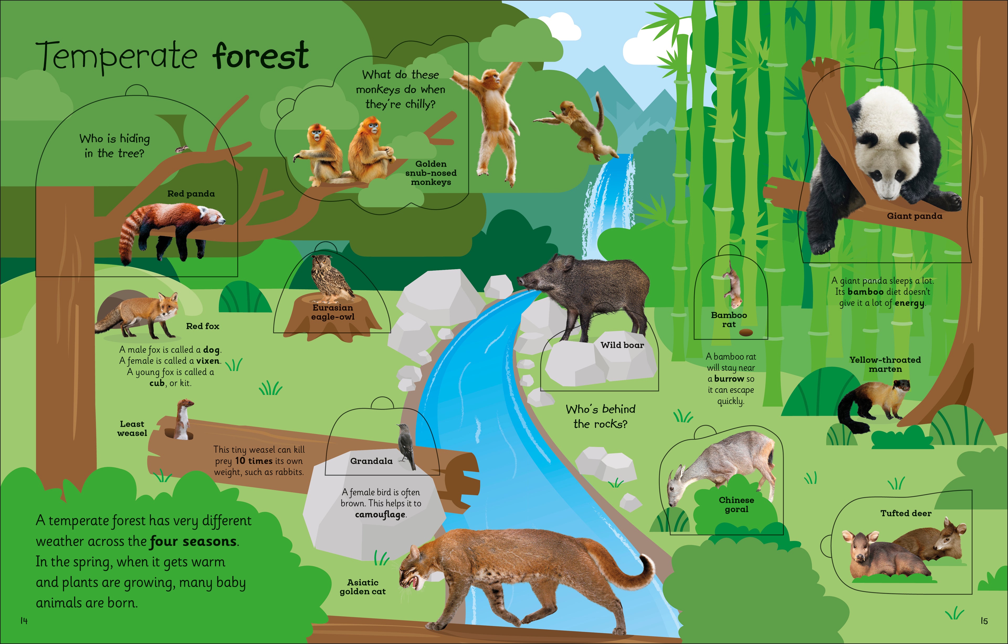 My Very Important Lift-the-Flap Book: Animals-image