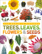 Our World in Pictures: Trees, Leaves, Flowers & Seeds jacket