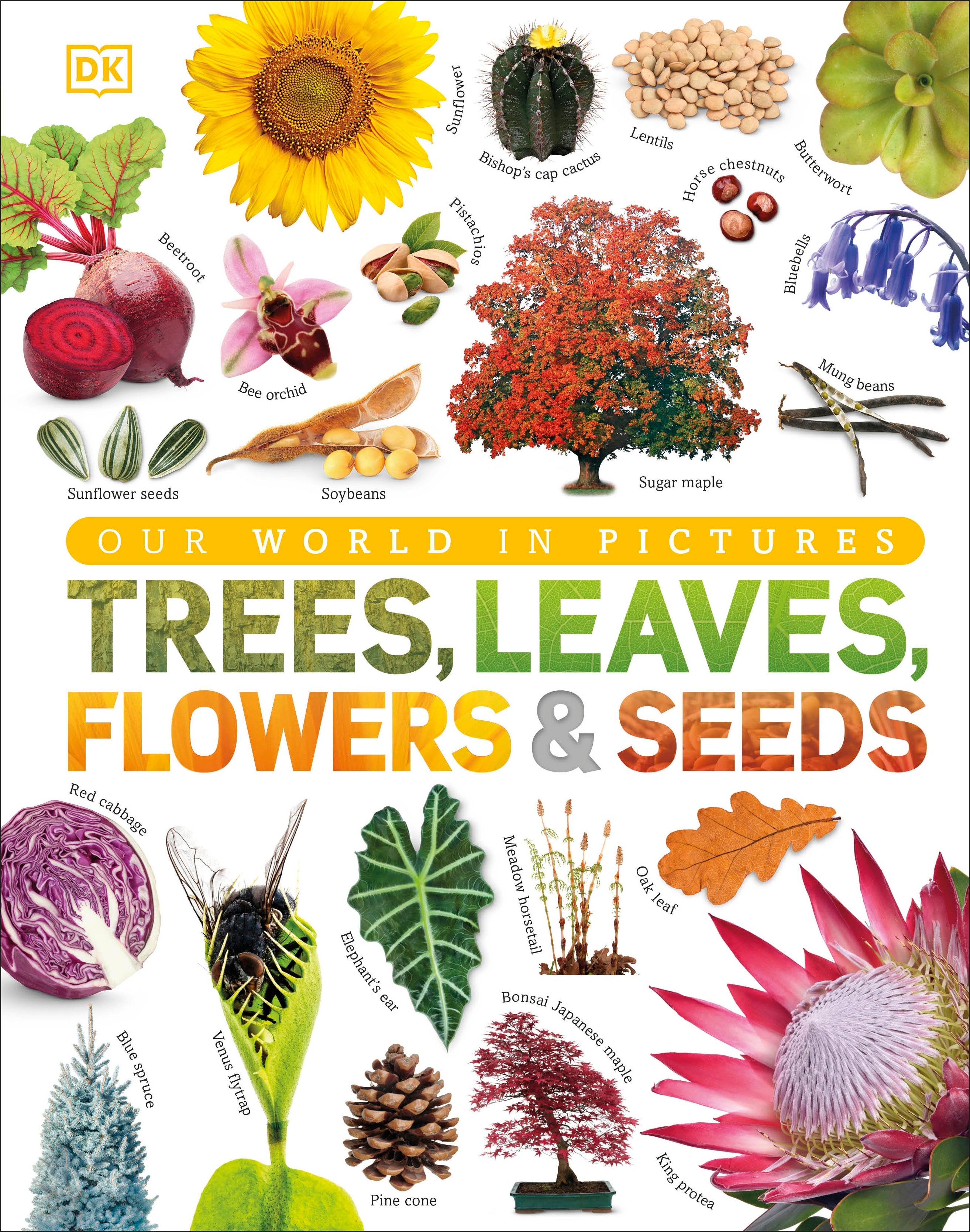 Our World in Pictures: Trees, Leaves, Flowers & Seeds jacket