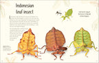 An Anthology of Remarkable Bugs