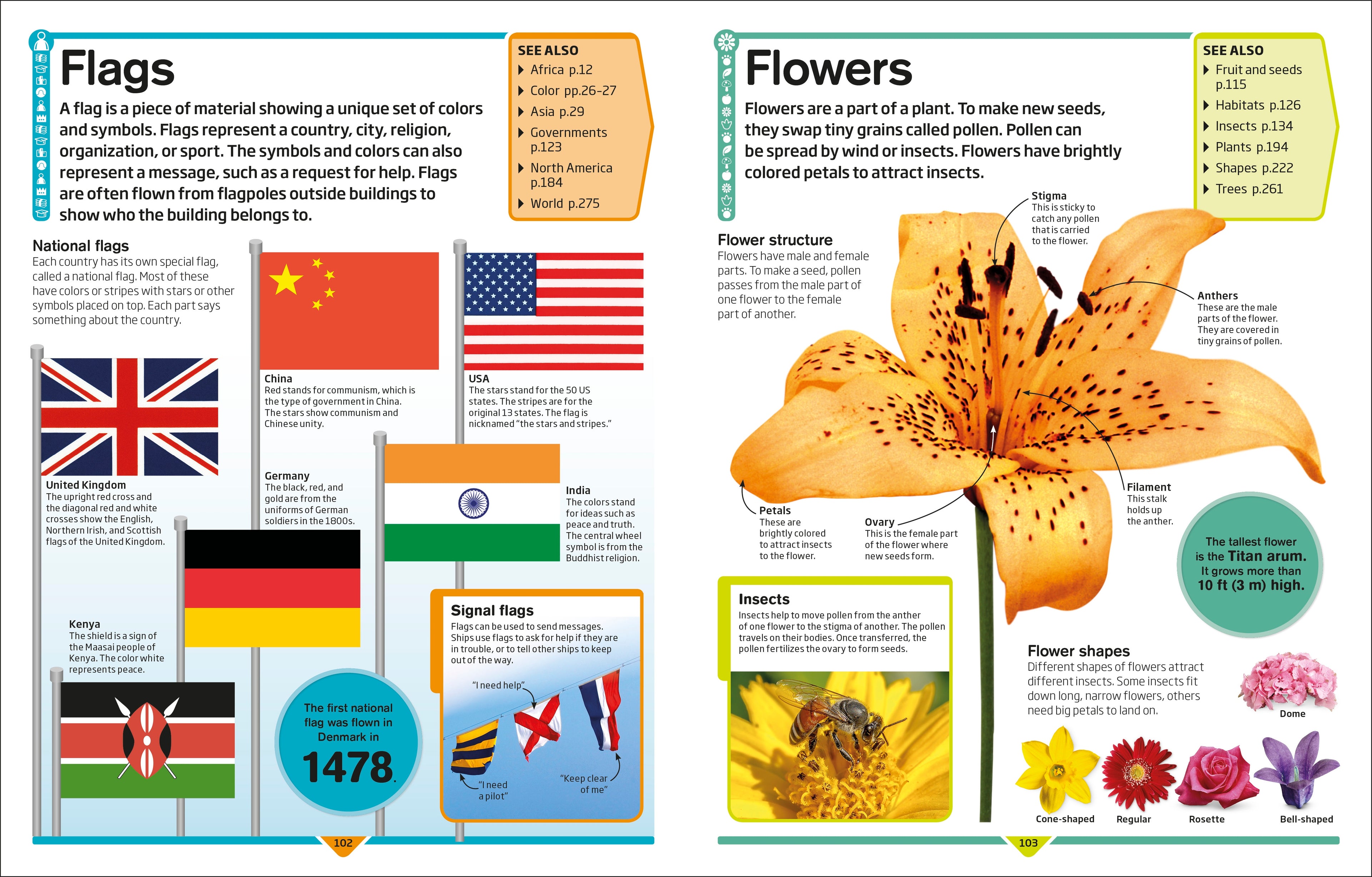 DK Children's Encyclopedia