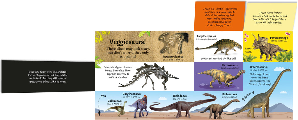 My Terrific Dinosaur Book