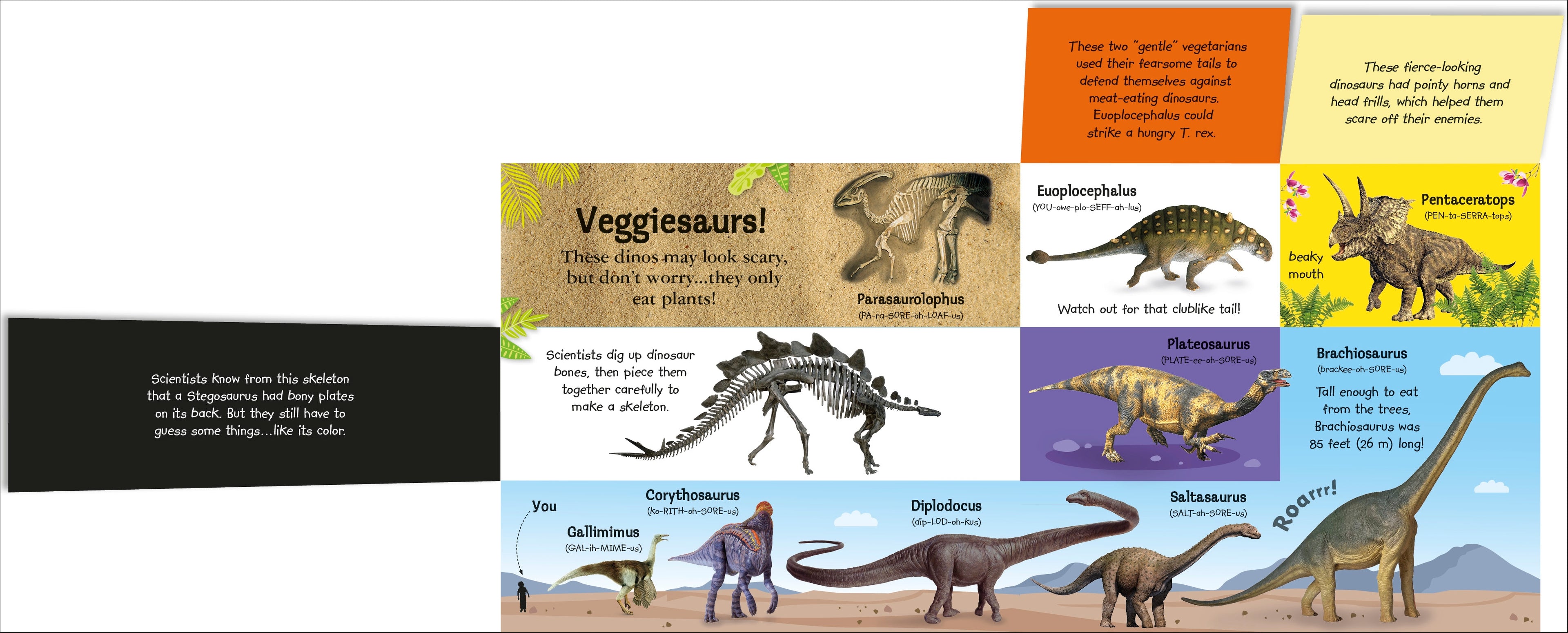 My Terrific Dinosaur Book