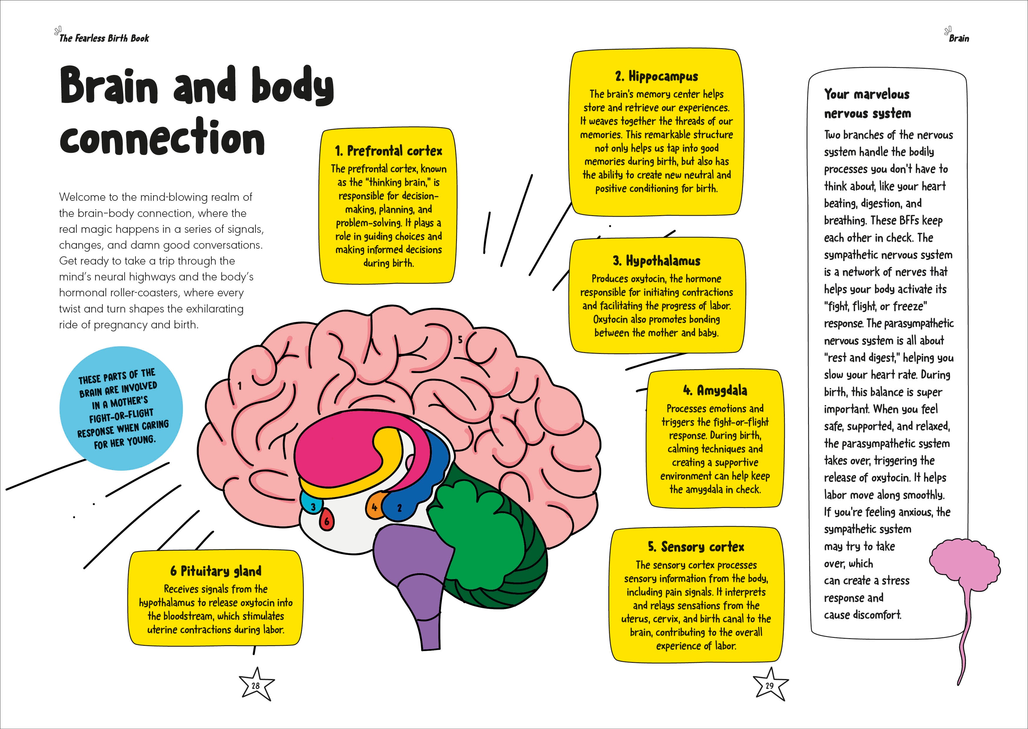 The Fearless Birth Book (The Naked Doula)-Spread, Image, (PRHC, Design, Do, Not, Use)-2