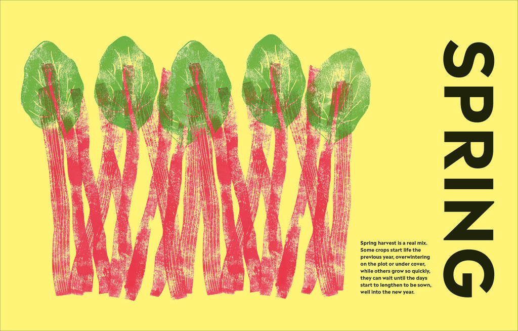 Rekha's Kitchen Garden-image