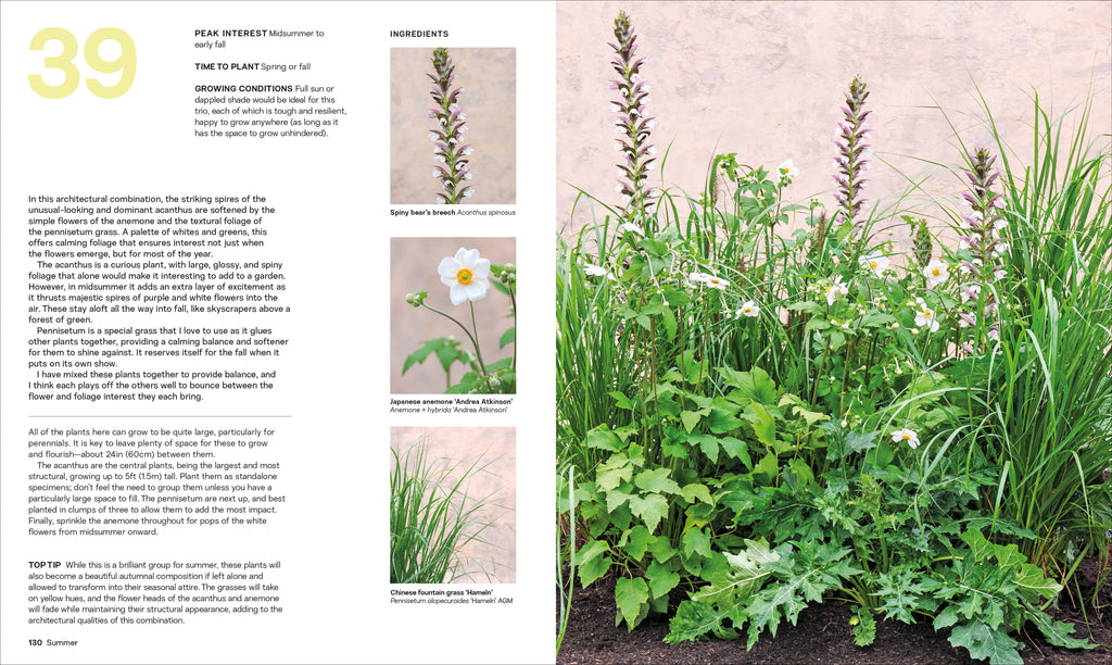 What Grows Together-Spread, Image, (PRHC, Design, Do, Not, Use)-4