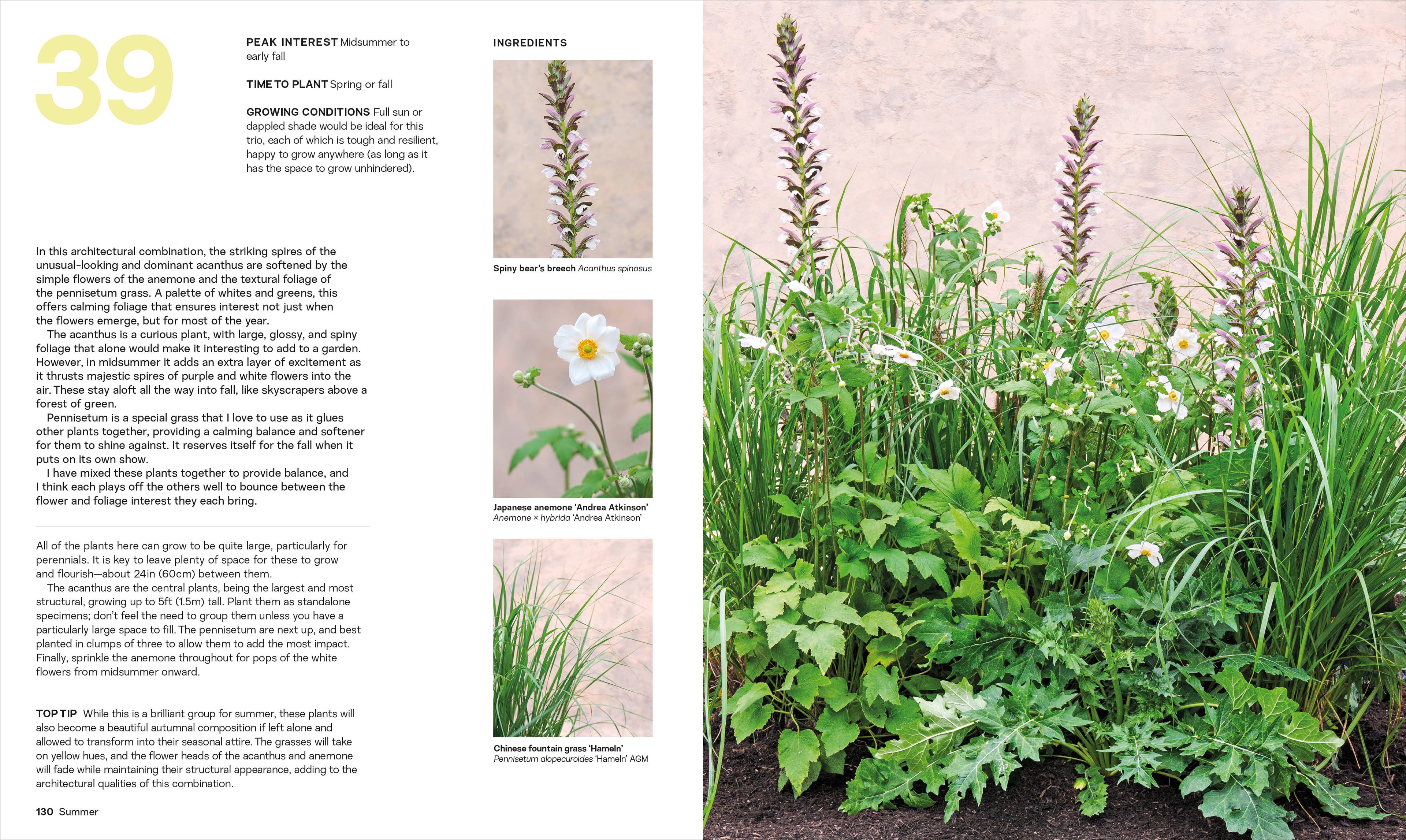 What Grows Together-Spread, Image, (PRHC, Design, Do, Not, Use)-4