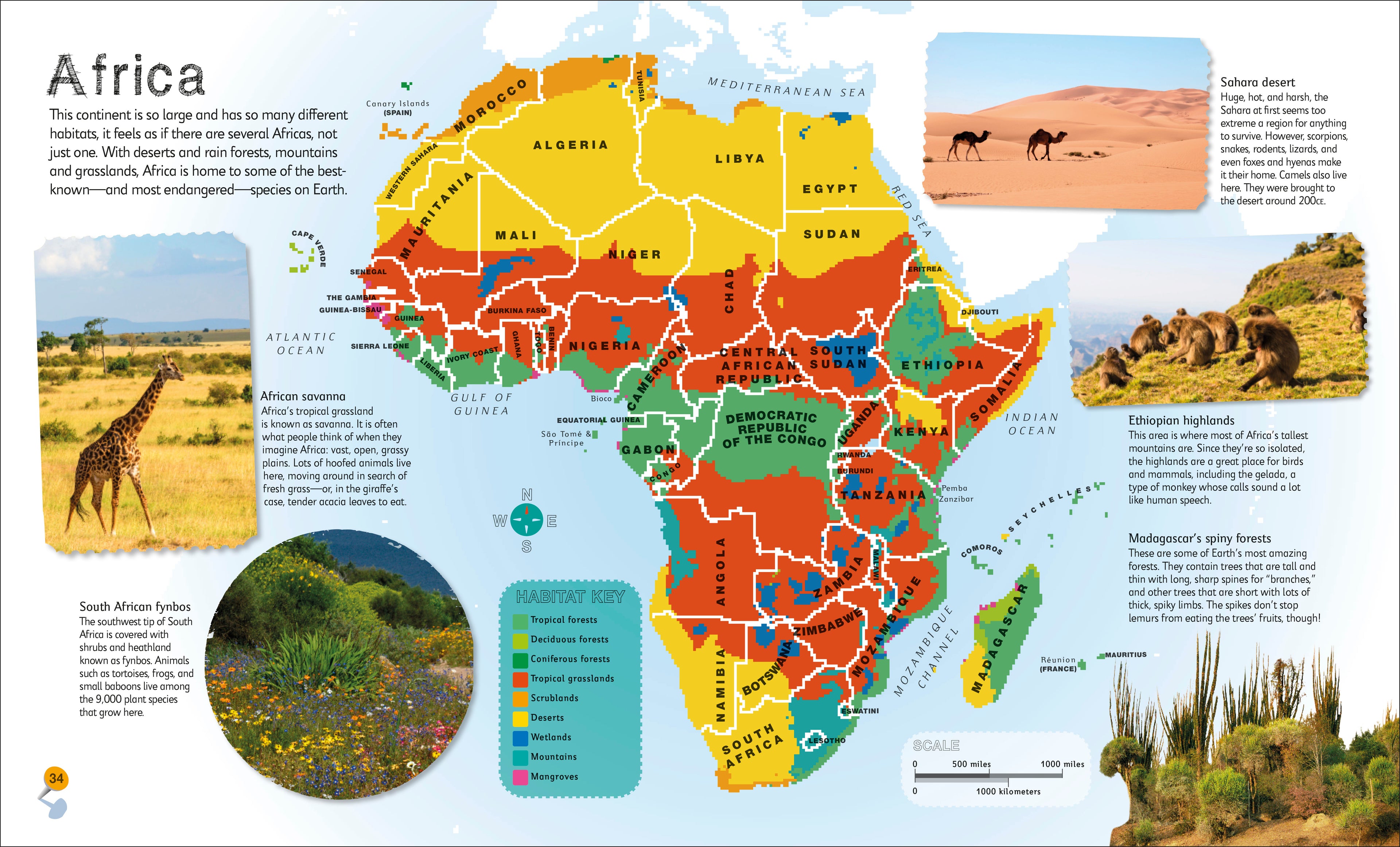 Children's Illustrated Atlas Collection-Spread, Image, (PRHC, Design, Do, Not, Use)-6