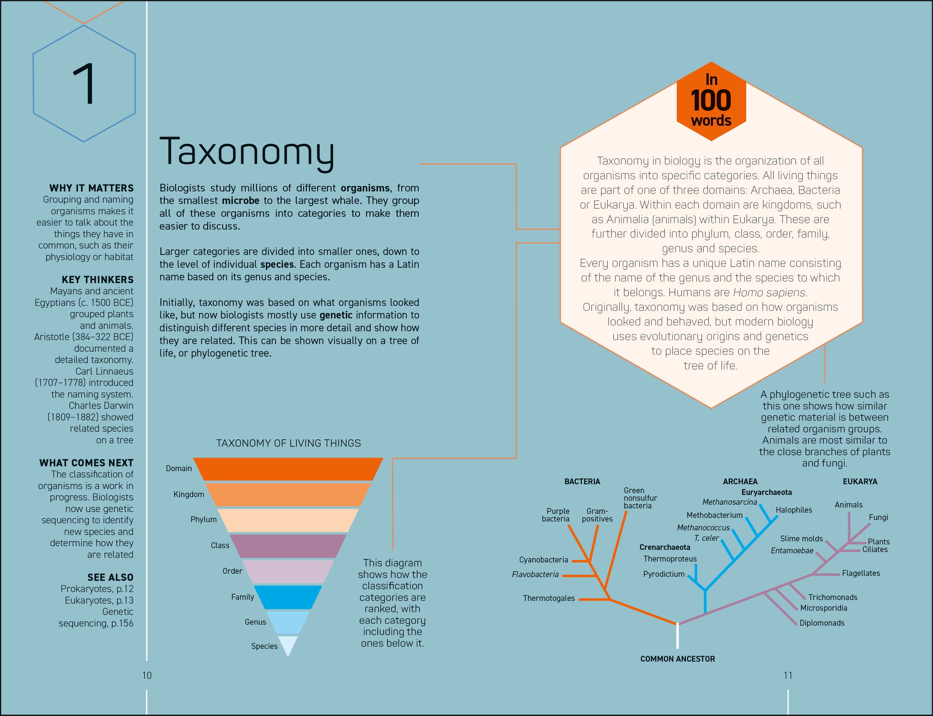 100 Biology Ideas in 100 Words-Spread, Image, (PRHC, Design, Do, Not, Use)-2