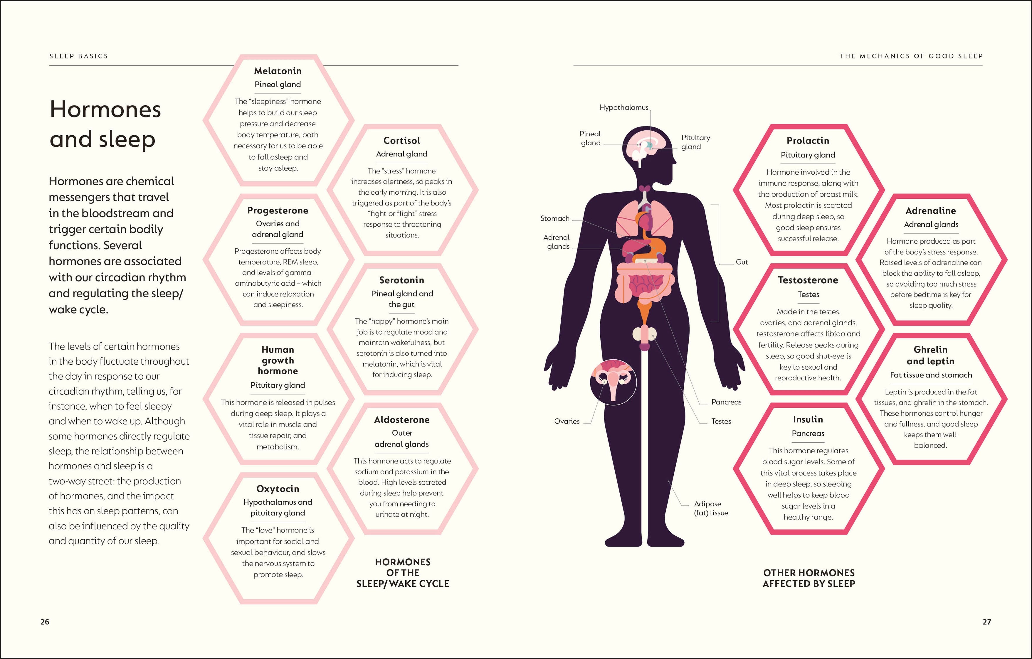 The Science of Sleep