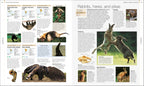 Animal-Spread, Image, (PRHC, Design, Do, Not, Use)-2