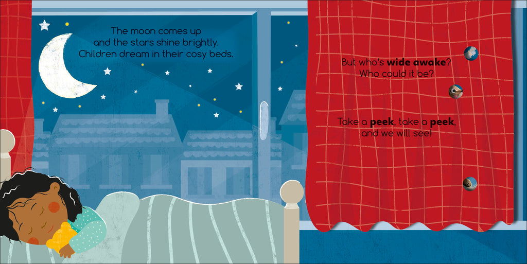 Flip Flap Find! Night-time Animals