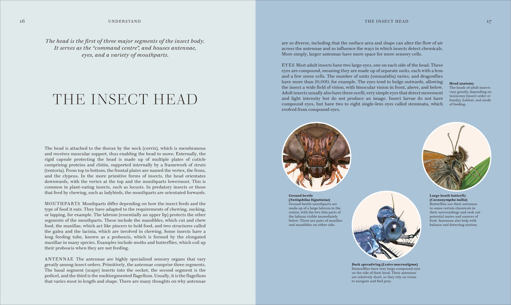 RES Insects-Spread, Image, (PRHC, Design, Do, Not, Use)-3
