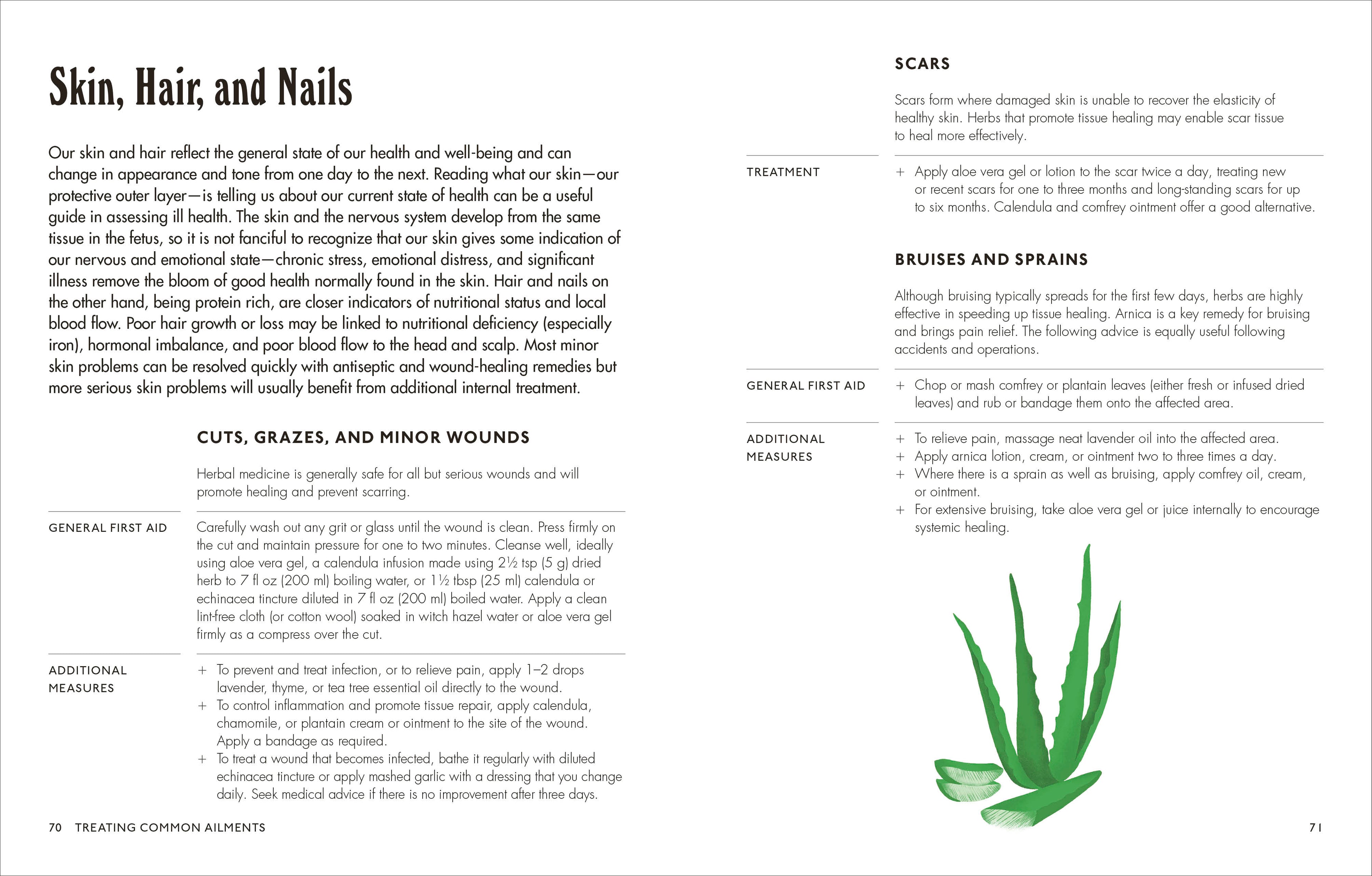 The Home Herbal-image