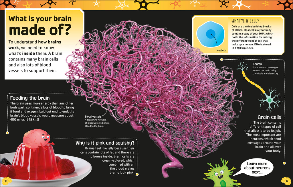 The Brain Book-Spread, Image, (PRHC, Design, Do, Not, Use)-1