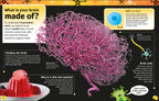 The Brain Book-Spread, Image, (PRHC, Design, Do, Not, Use)-1