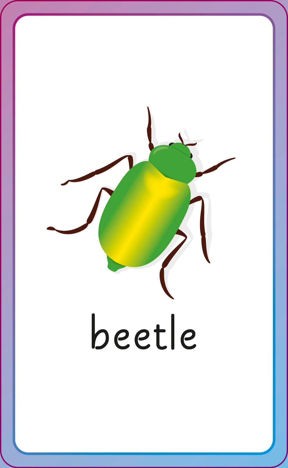 English for Everyone Junior First Words Animals Flash Cards-image