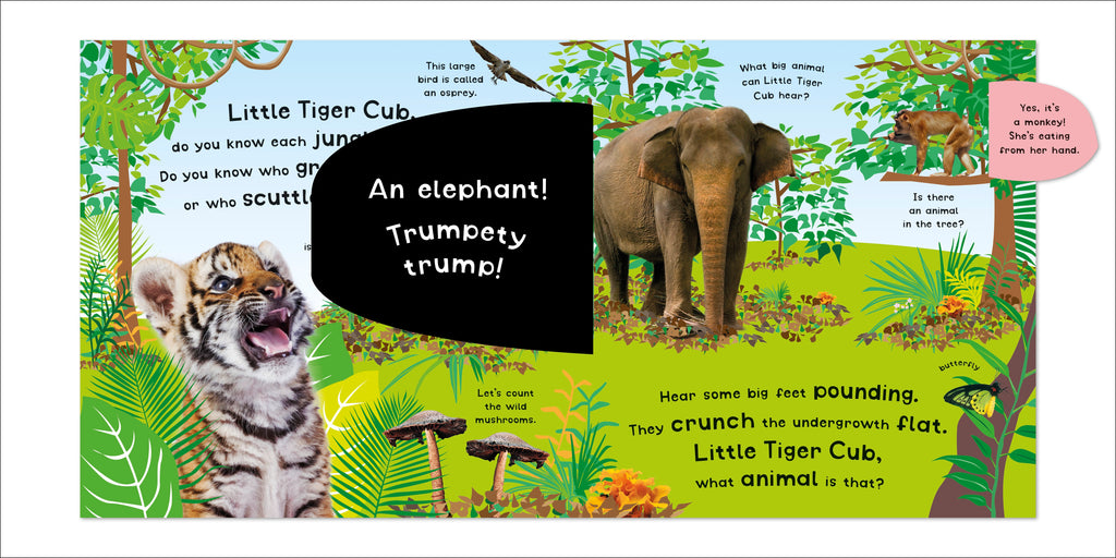 Growl! Howl! Animals