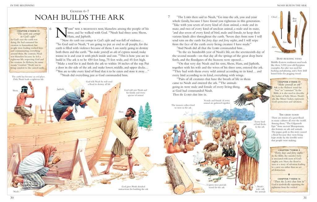 Illustrated Family Bible