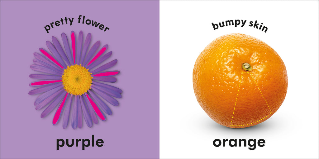 Baby Touch and Feel: Colors