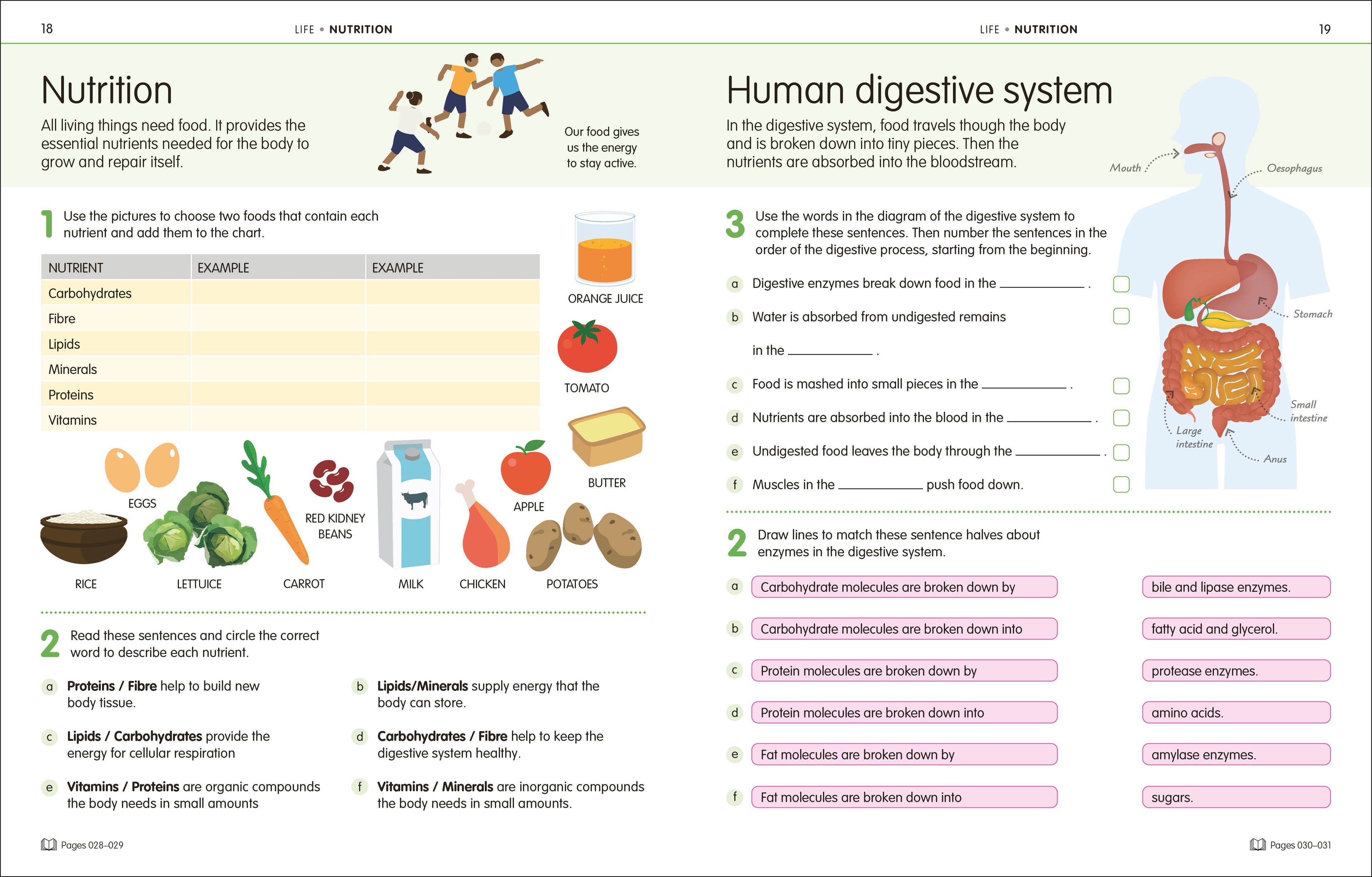 How to Be Good at Science, Technology and Engineering Grade 6-8-Spread, Image, (PRHC, Design, Do, Not, Use)-4