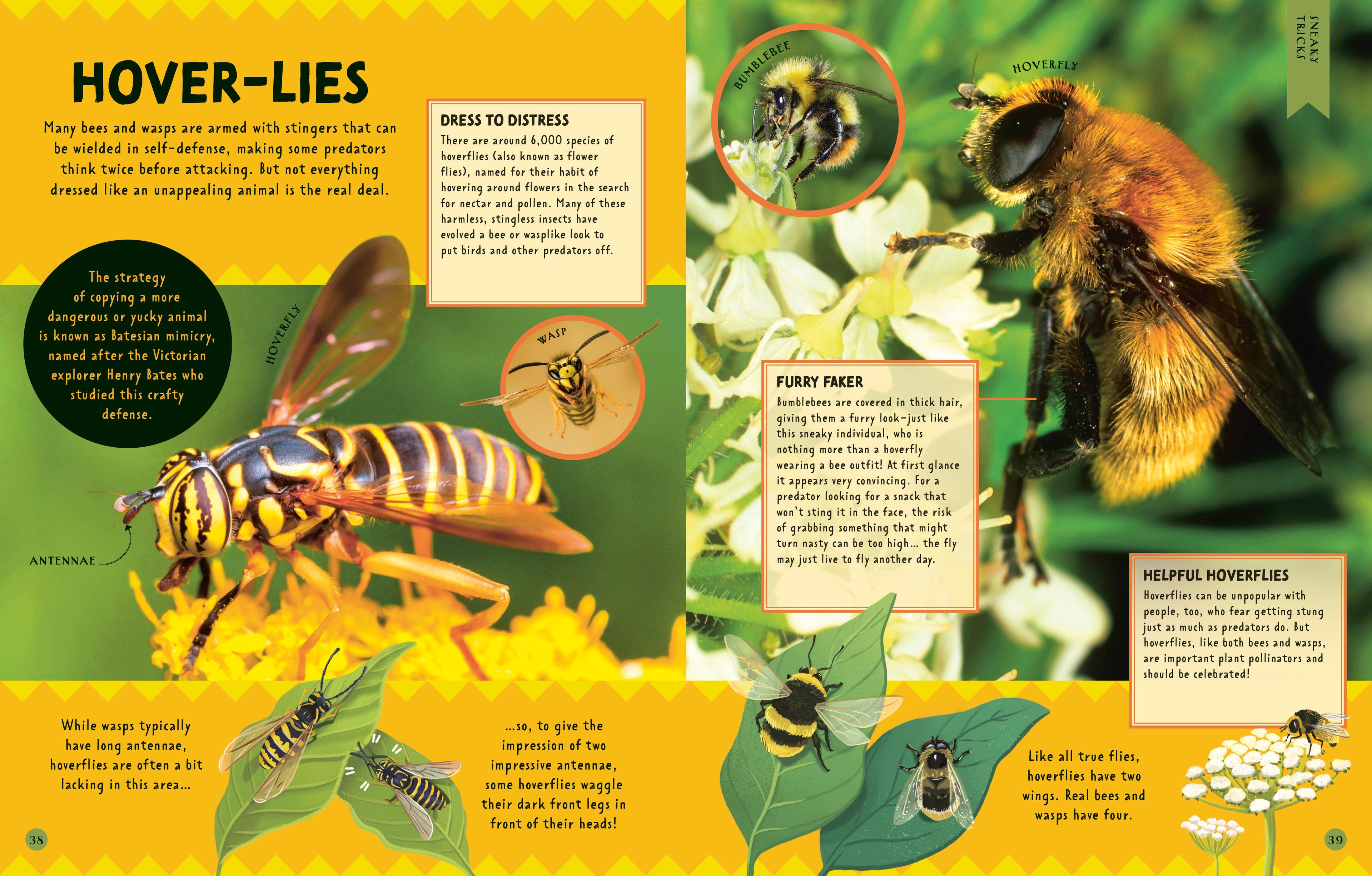 How Not to Get Eaten-Spread, Image, (PRHC, Design, Do, Not, Use)-5