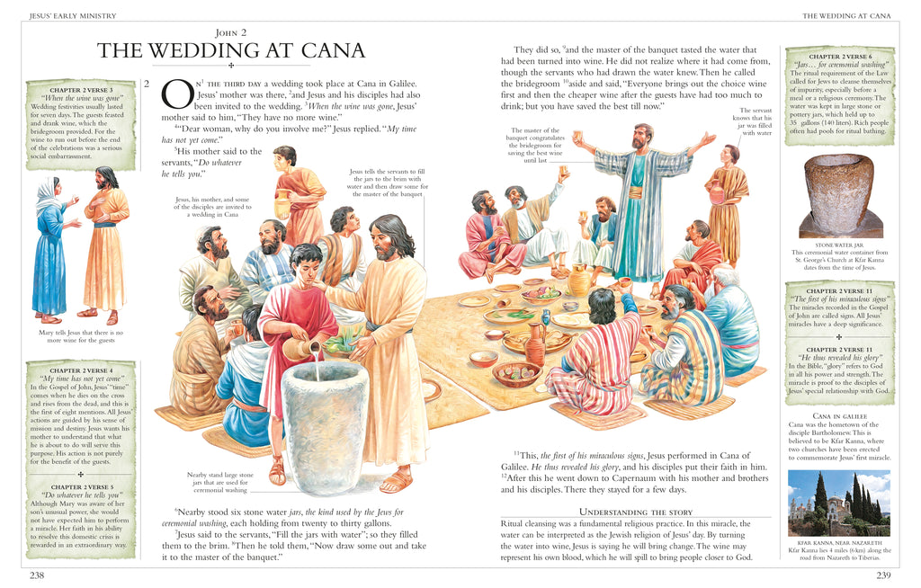 Illustrated Family Bible