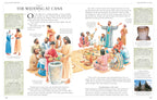 Illustrated Family Bible